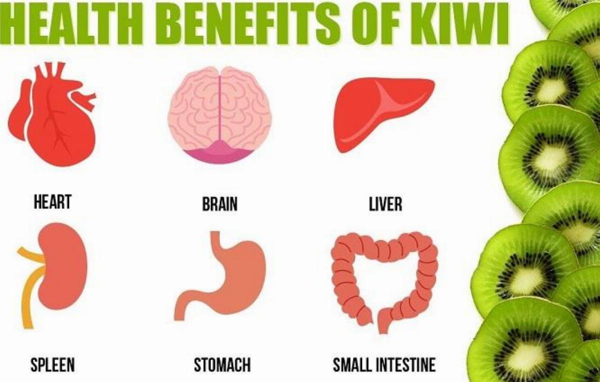 images/articles/benefits-kiwi.jpg