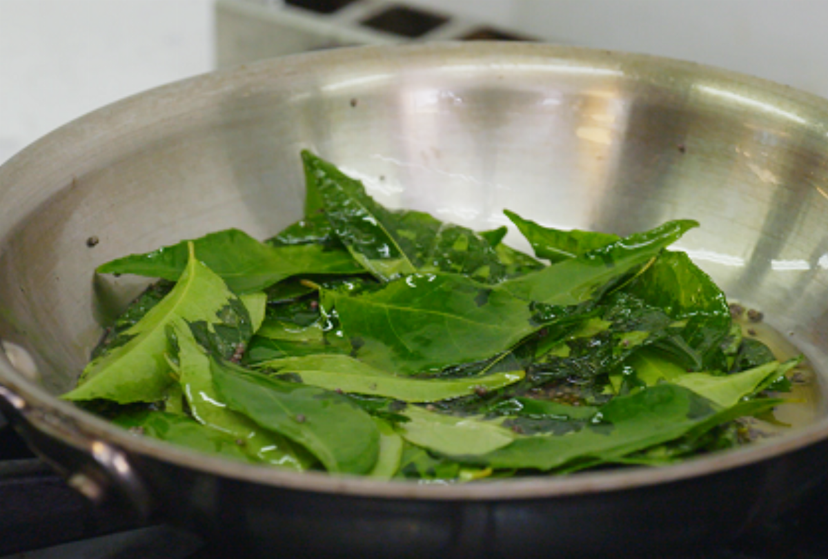 Store Curry Leaves in Kitchen