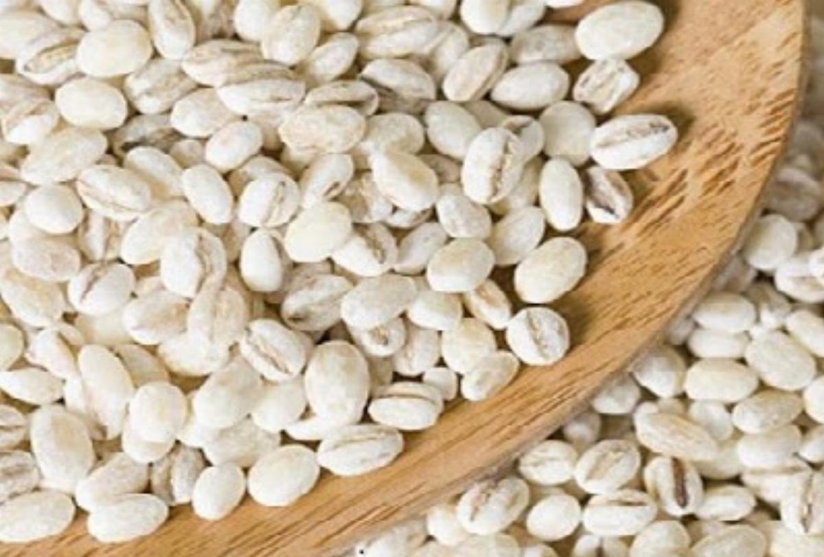 Barley Khichri Recipe