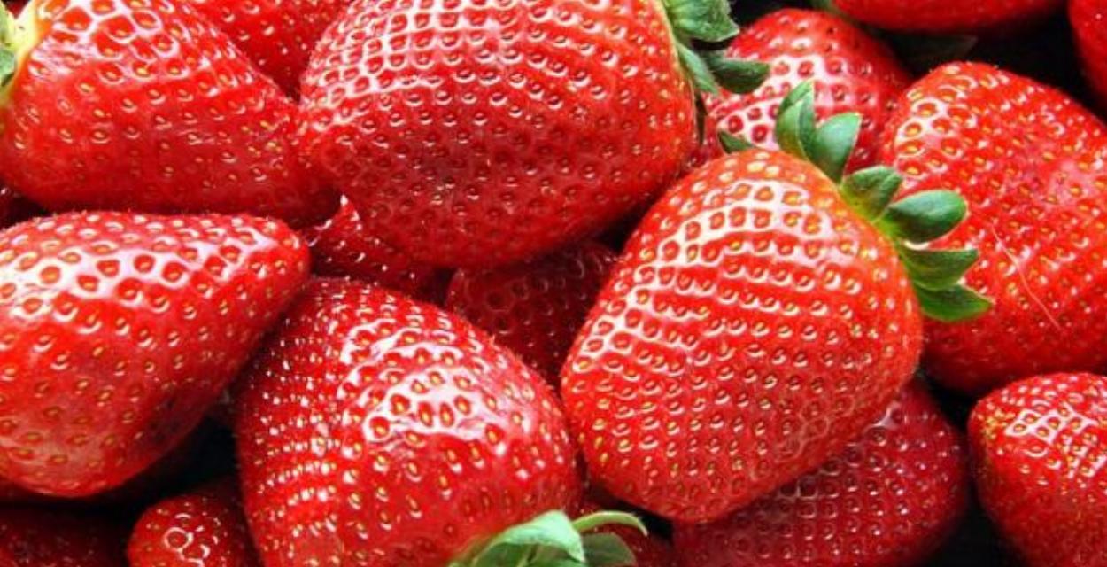 Strawberry Creamy Bites Recipe